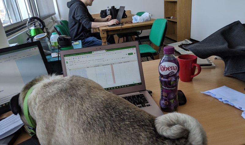 Puglet Digital At Work