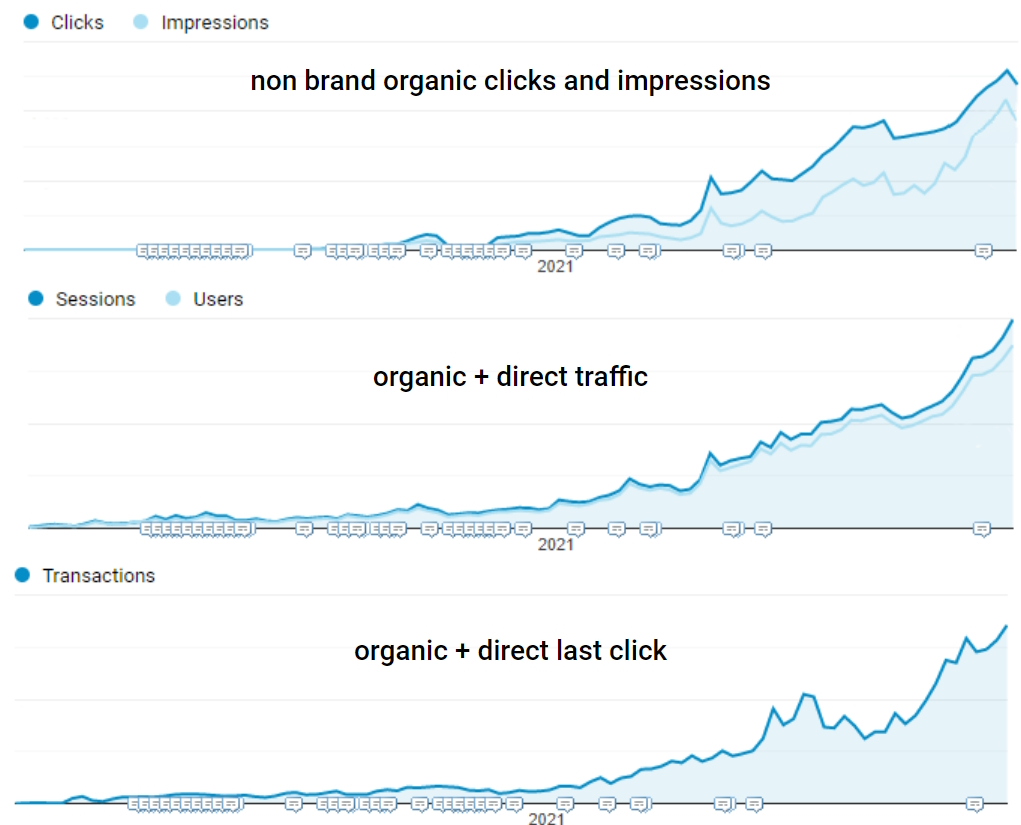 Yoppie SEO Case Study